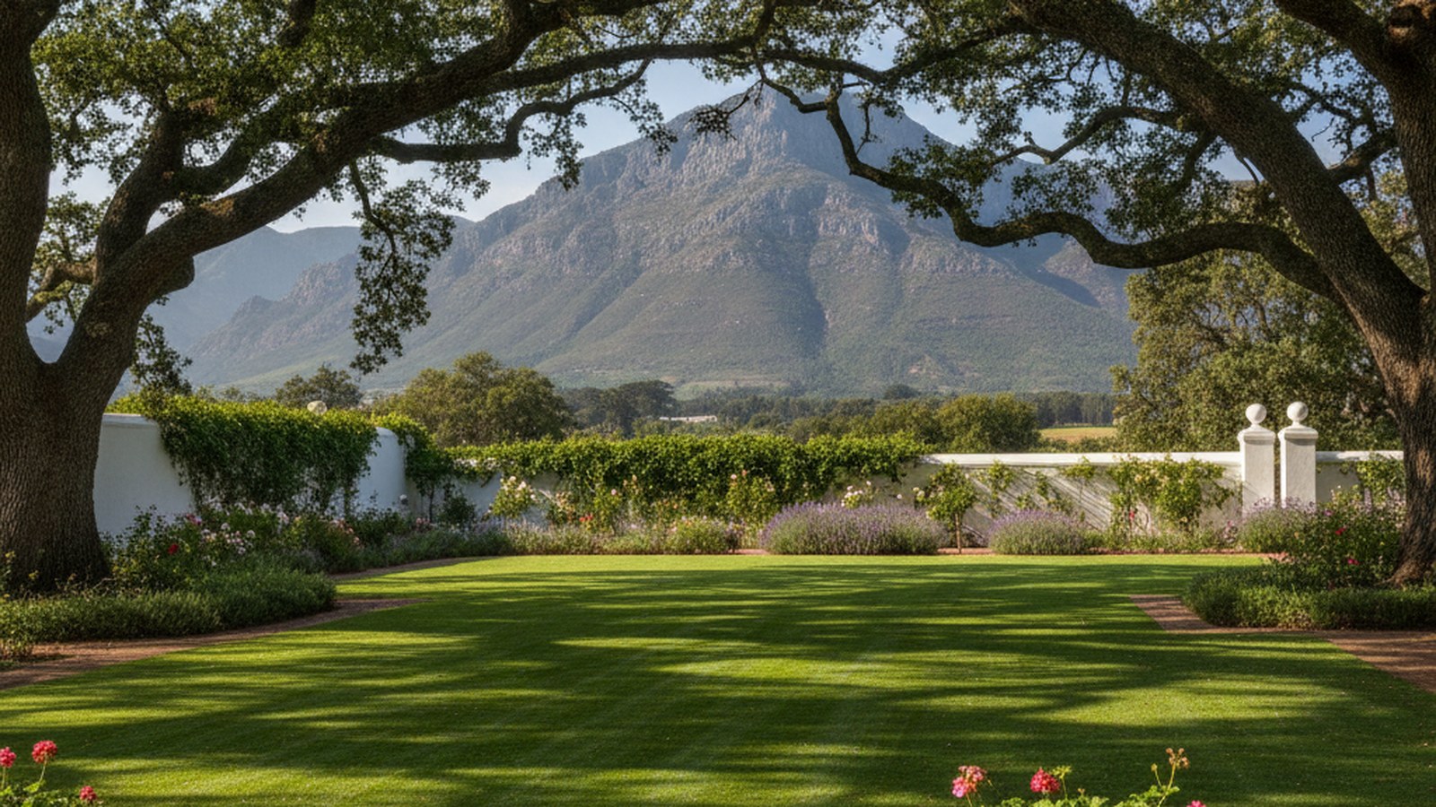 Artificial grass laid under mature oaks in a Stellenbosch winelands garden